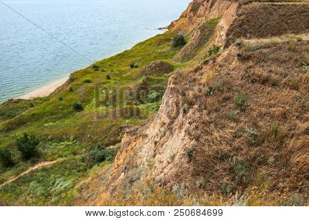 high coast by the sea, beautiful landscape, wild grass and trees, summer travel concept