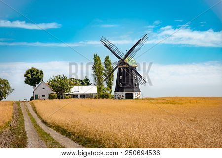 Wheat Windmill. Harvest Concent. The Stock Photo.