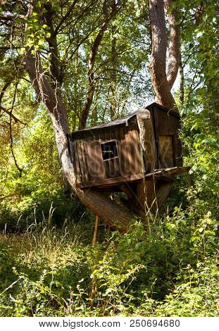 Abandoned Kid Tree House. The Stock Photo.