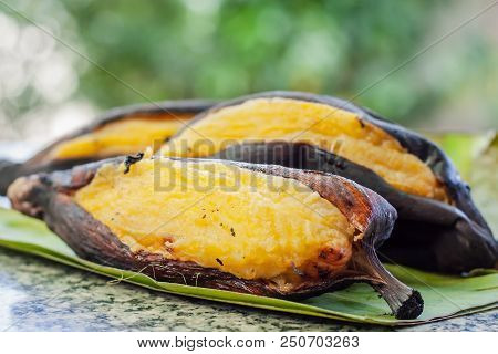 Delicious Grill Silver Bluggoe Banana On Banana Leaf Against Blurred Natural Green Background For Th