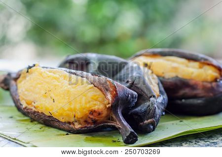 Delicious Grill Silver Bluggoe Banana On Banana Leaf Against Blurred Natural Green Background For Th