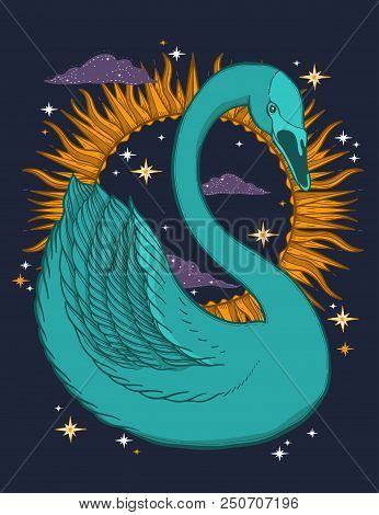 Sketch Graphic Illustration Beautiful Bird Swan Color With Mystic And Occult Hand Drawn Symbols. Vec