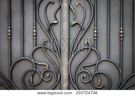 Beautiful Decorative Metal Elements Forged Wrought Iron Gates