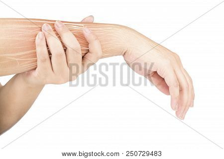 Forearm Muscle Injury White Background Forearm Pain