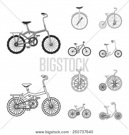Retro, Unicycle And Other Kinds.different Bicycles Set Collection Icons In Outline, Monochrome Style
