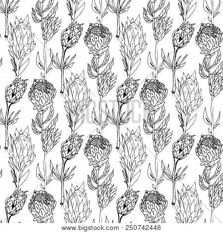 Hand Drawn Floral  Seamless Pattern Vector Illustration
