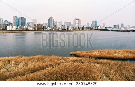 Dry Brown Grasses Next To Large Urban River And Skyline