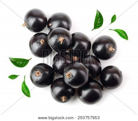 Black Currant With Lef Isolated On White Background. Top View. Flat Lay Pattern.