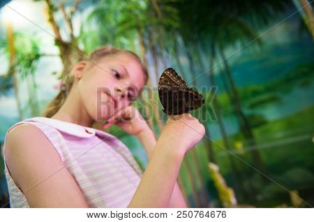 Beautiful Small Caucasian Girl Holding Big Butterfly On Her Hand Watching It