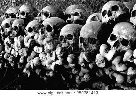 Skulls At The 