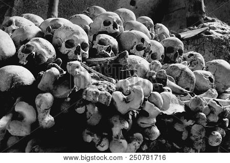 Skulls At The 