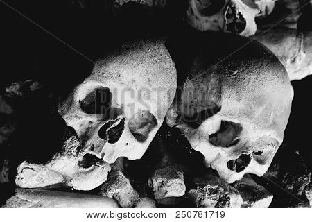 Skulls At The 