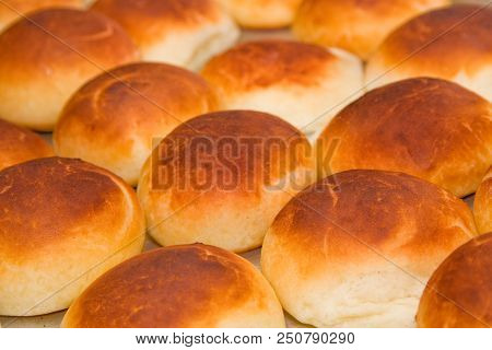 Pandebono Traditional Colombian Food Fresh Out Of The Oven. Top View