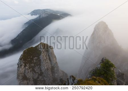 Beautiful Landscape With Stones, Forest And Fog. Sunrise In Romanian National Park Hasmas.. Lonely R