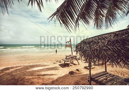 Beautiful Palm Trees Beach In Tropical Climate. Ocean And Relaxing People Swiming In Waves At Sunny 