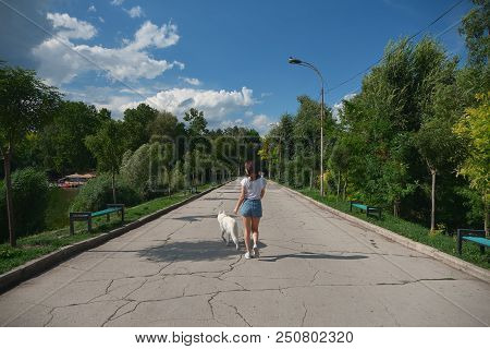 Young Woman Back View, Walking Her Dog In The Park, On The Pavement In Perspective, With Trees And S