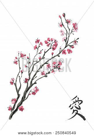 Realistic Sakura Blossom - Japanese Cherry Tree Isolated On White Background.