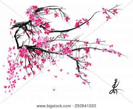 Realistic Sakura Blossom - Japanese Cherry Tree Isolated On White Background.