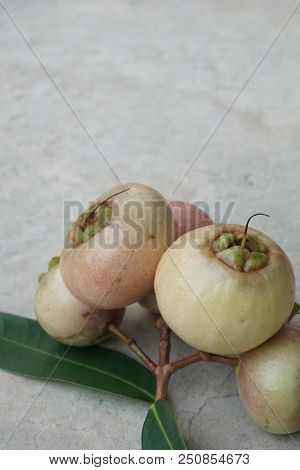 Syzygium Jambos Is Another Type Of Rose Apple In Thailand