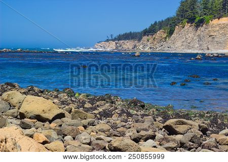 Blue Shies At Cape Arago, Southern Oregon Coast