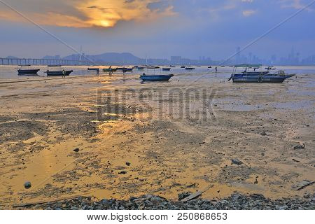 Deep Bay, Shenzhen Bay, View At Hk
