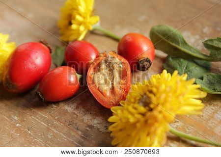 Rosehip Berries On Wooden Background. Autumn Composition. Useful Tea Ingrid.