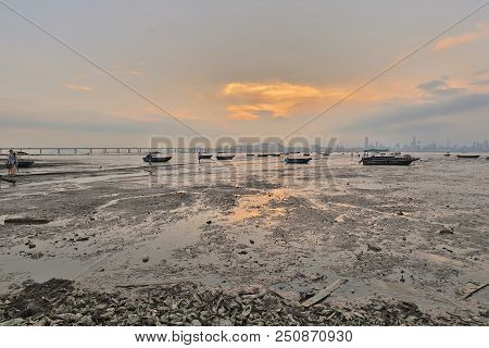 Deep Bay, Shenzhen Bay, View At Hk