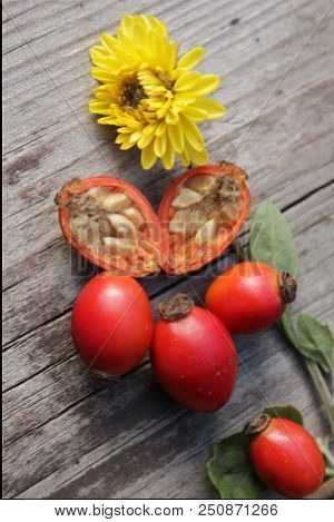 Rosehip Berries On Wooden Background. Autumn Composition. Useful Tea Ingrid.