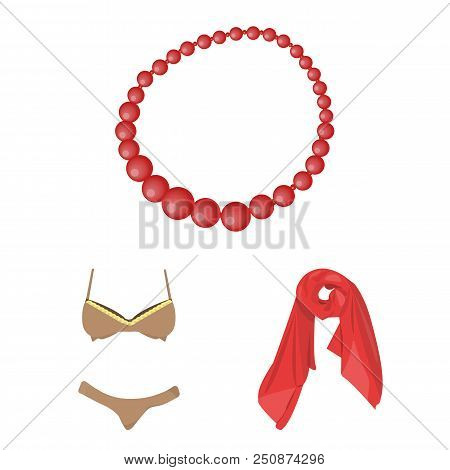 Women Clothing Cartoon Icons In Set Collection For Design.clothing Varieties And Accessories Vector 