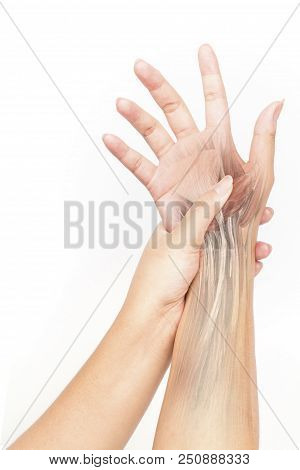 Wrist Muscle, Pain White Background Wrist Pain