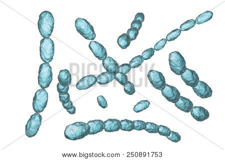 Haemophilus Ducreyi Bacteria, 3d Illustration. Gram-negative Coccobacillus, Which Causes The Sexuall