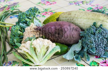 Closeup Of Freshly Harvested Vegetables Turnips, Beetroots, Carrots, Round Marrow, Tomatoes, Cucumbe