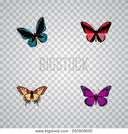 Set Of Butterfly Realistic Symbols With Checkerspot, Lexias, Agrias Claudina And Other Icons For You
