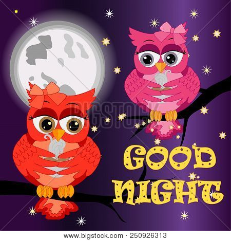 Good Night Card With Moon And Cute Owl