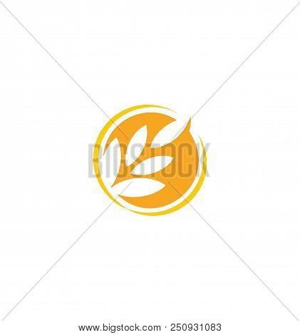 Wheat Vector Grain Icon Isolated Abstract Orange Color Wheat Ear Round Logo. Nature Element Logotype