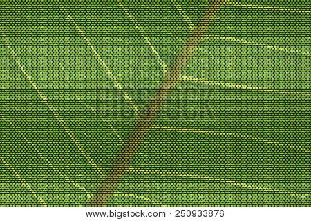 Vector Illustration Of A Backlit Leaf Made Of Dots Showing Nerves