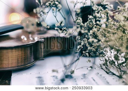The Abstract Ar Tdesign Background Of Dried Flower Put In Front Of Violin,blurry Light Around