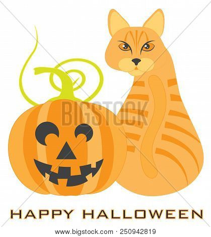 Halloween Orange Tabby Cat Sitting Looking Back With Jack-o-lantern Pumpkin Vector Illustration