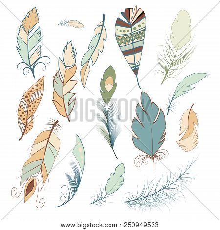 Tribal Feather Bird Nature Wing Element Vector Graphic Illustration Hand Drawn Style. Ethnic Fluffy 