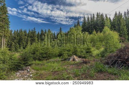 Heaven In Slavkovsky Les National Park With Blue Heaven