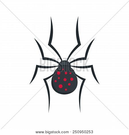 Spider Icon. Flat Illustration Of Spider Vector Icon For Web Isolated On White