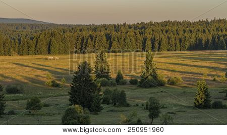 Slavkovsky Les Mountains In Summer Sunny Sunset Evening Near Krizky Area