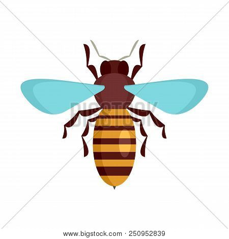 Bee Insect Icon. Flat Illustration Of Bee Insect Vector Icon For Web Isolated On White