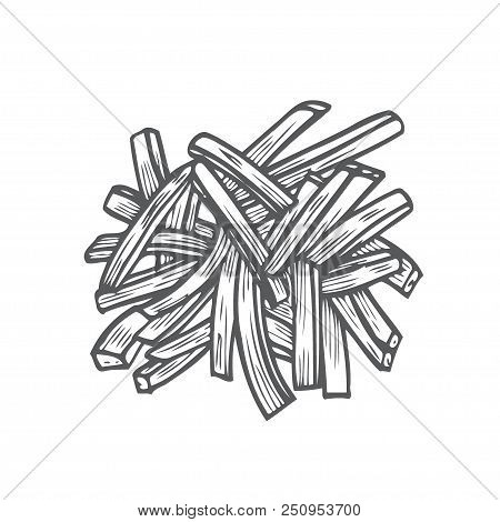 Sketch Hand Drawn Illustration Of French Fries. American Fast Food. Vector Monochrome Illustration.