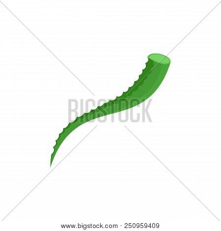 Piece Of Aloe Icon. Flat Illustration Of Piece Of Aloe Vector Icon For Web Isolated On White