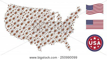 Cockroach Icons Are Organized Into American Map Abstraction. Vector Collage Of American Territory Ma