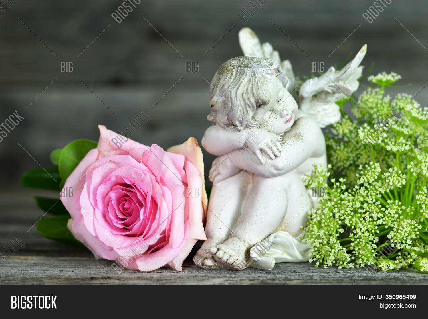 Guardian Angel Pink Image Photo Free Trial Stock Guardian Angel Pink Image Photo Free
