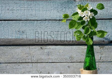 Creative Top View Apple Tree Blooming Flowers Brunch In Green Glass Bottle  On  Rustic Wooden   Back