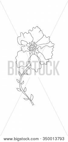 Beautiful Stylized Flower Outline, Isolated On A White Background.