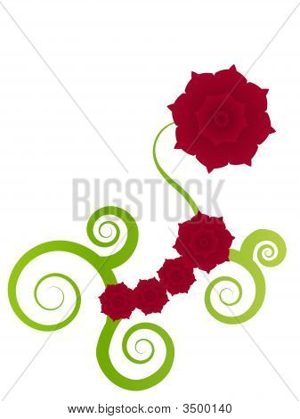 Rose rosse